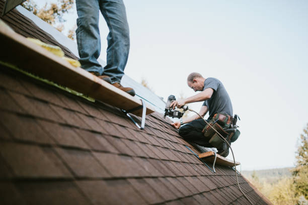 Roof Gutter Cleaning in Spring Valley Lake, CA